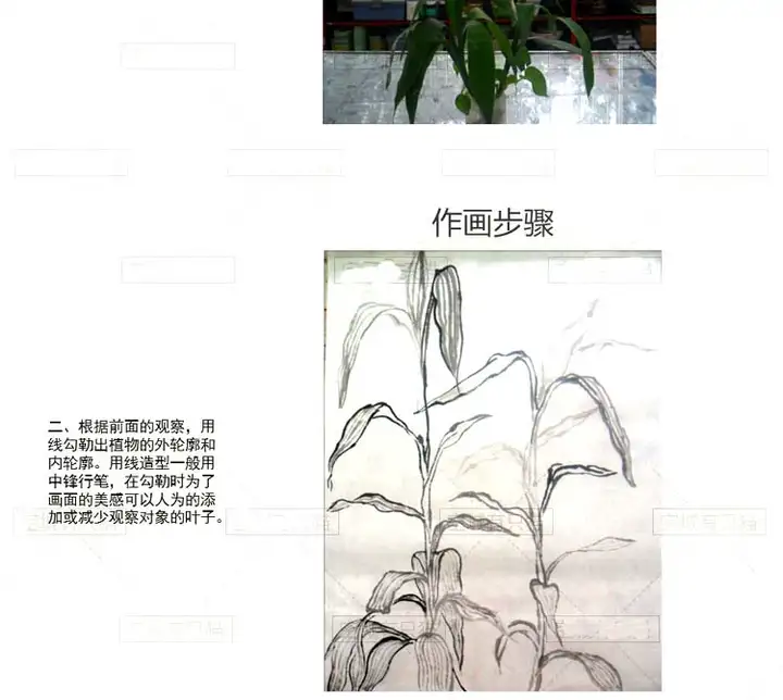 图片[12]-9套幼少儿童国画入门基础视频教程-创意美术课件ppt培训教案材电子版【电商热销651】-暗冰资源网